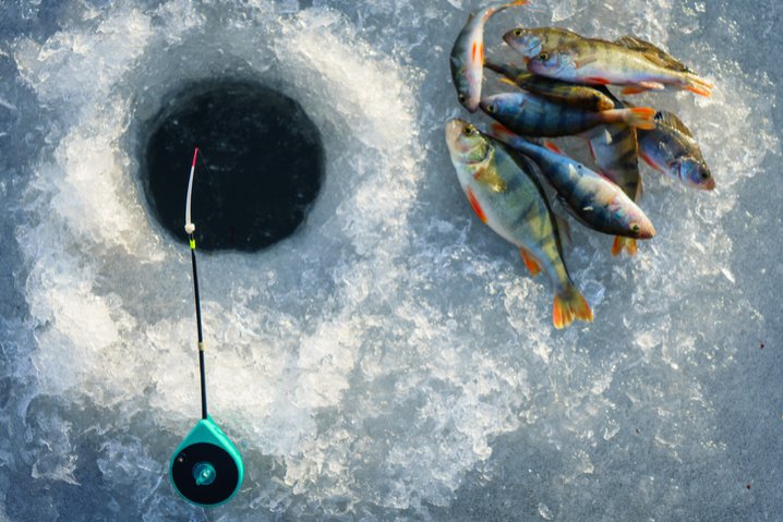 Explore ice fishing live